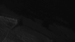 Přístup na běžeckou trať