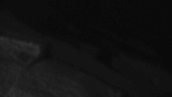 Přístup na běžeckou trať