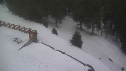 Přístup na běžeckou trať