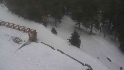 Přístup na běžeckou trať