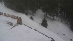 Přístup na běžeckou trať