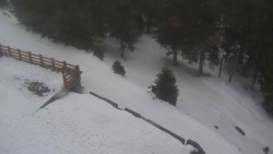 Přístup na běžeckou trať