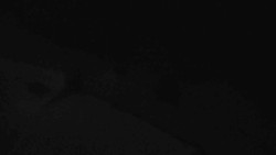 Přístup na běžeckou trať