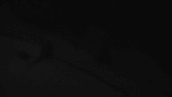 Přístup na běžeckou trať