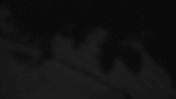 Přístup na běžeckou trať