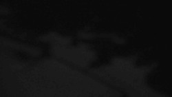 Přístup na běžeckou trať