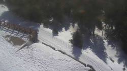 Přístup na běžeckou trať