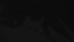 Přístup na běžeckou trať