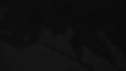 Přístup na běžeckou trať