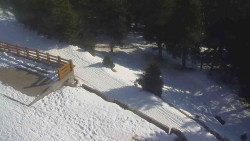 Přístup na běžeckou trať