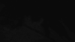 Přístup na běžeckou trať