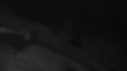 Přístup na běžeckou trať