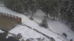 Přístup na běžeckou trať