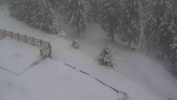 Přístup na běžeckou trať