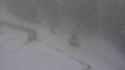 Přístup na běžeckou trať