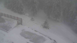 Přístup na běžeckou trať