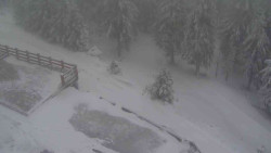 Přístup na běžeckou trať