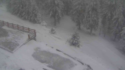 Přístup na běžeckou trať