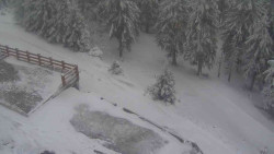 Přístup na běžeckou trať