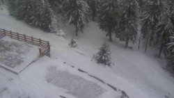 Přístup na běžeckou trať