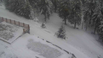 Sporthotel Kurzovní