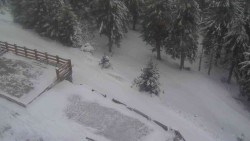 Přístup na běžeckou trať