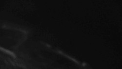 Přístup na běžeckou trať