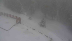 Přístup na běžeckou trať