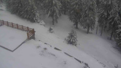 Přístup na běžeckou trať