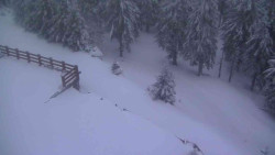 Přístup na běžeckou trať