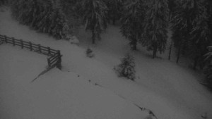 Sporthotel Kurzovní - Přístup na běžeckou trať - 1.4.2026 v 05:55