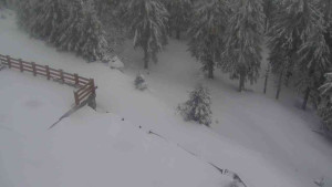 Sporthotel Kurzovní - Přístup na běžeckou trať - 1.4.2026 v 06:55