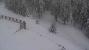 Sporthotel Kurzovní - Přístup na běžeckou trať - 1.4.2026 v 07:55