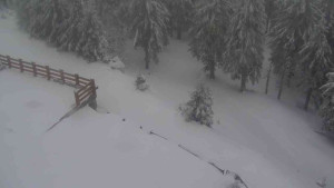 Sporthotel Kurzovní - Přístup na běžeckou trať - 1.4.2026 v 08:55