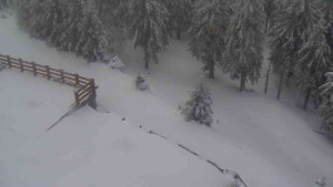 Sporthotel Kurzovní - Přístup na běžeckou trať - 1.4.2026 v 09:55