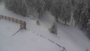 Sporthotel Kurzovní - Přístup na běžeckou trať - 1.4.2026 v 11:00