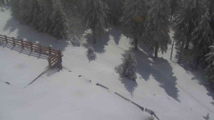 Sporthotel Kurzovní - Přístup na běžeckou trať - 1.4.2026 v 11:55