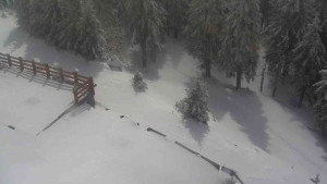 Sporthotel Kurzovní - Přístup na běžeckou trať - 1.4.2026 v 12:00