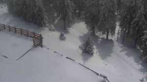 Sporthotel Kurzovní - Přístup na běžeckou trať - 1.4.2026 v 12:40