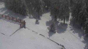 Sporthotel Kurzovní - Přístup na běžeckou trať - 1.4.2026 v 12:55