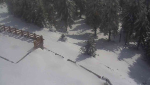 Sporthotel Kurzovní - Přístup na běžeckou trať - 1.4.2026 v 14:05