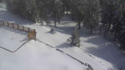 Přístup na běžeckou trať