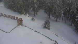 Sporthotel Kurzovní - Přístup na běžeckou trať - 1.4.2026 v 16:55