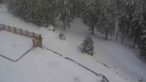 Sporthotel Kurzovní - Přístup na běžeckou trať - 1.4.2026 v 17:55