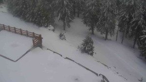 Sporthotel Kurzovní - Přístup na běžeckou trať - 1.4.2026 v 18:55