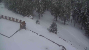 Sporthotel Kurzovní - Přístup na běžeckou trať - 1.4.2026 v 19:30