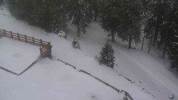 Přístup na běžeckou trať