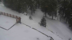 Přístup na běžeckou trať