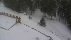 Přístup na běžeckou trať