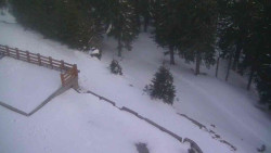 Přístup na běžeckou trať